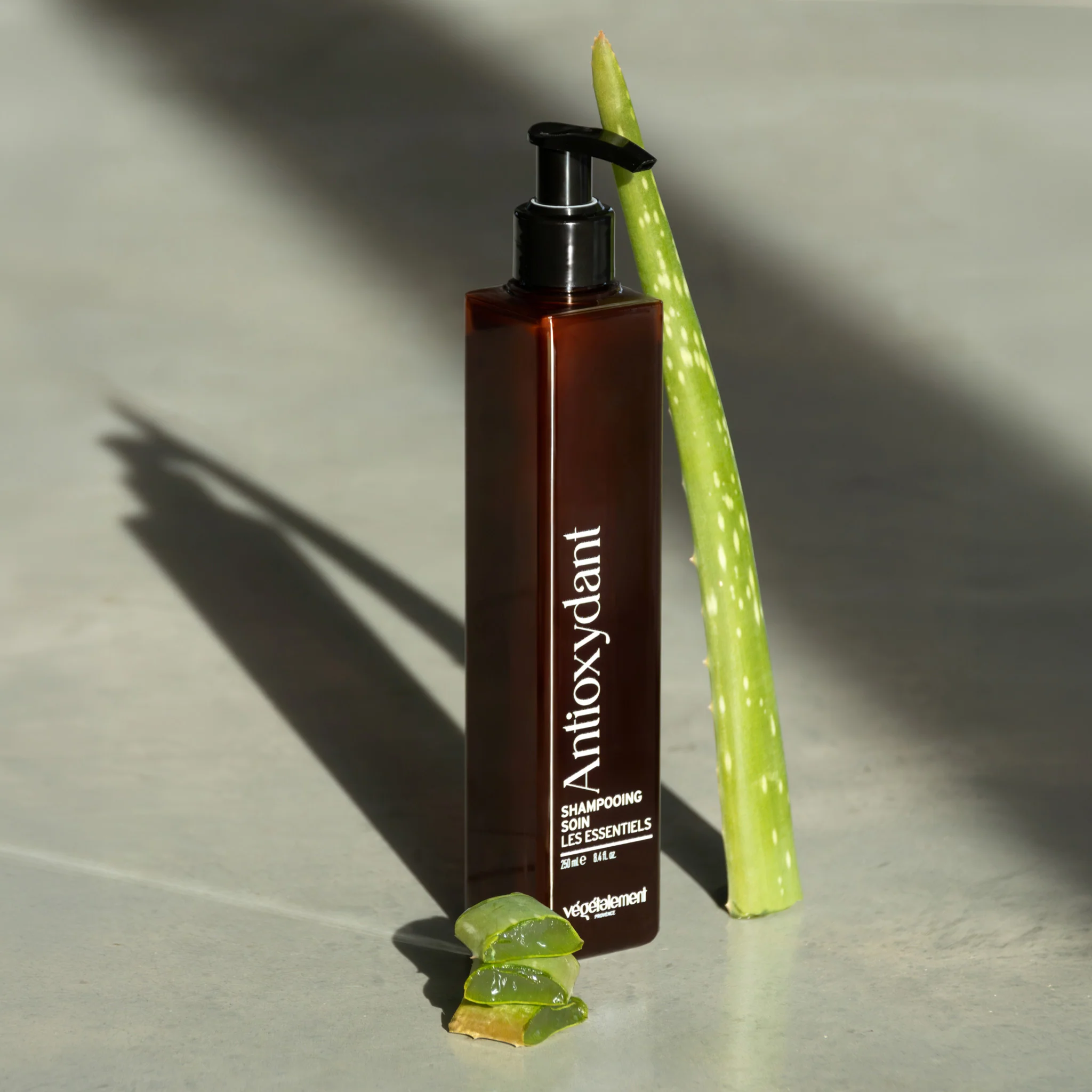 Shampooing Soin Antioxydant – Image 2